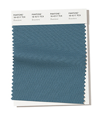 PANTONE 18-4217.jpg